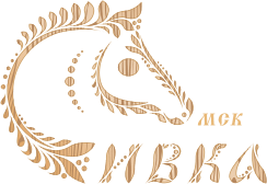 Верховая езда для начинающих и опытных всадников